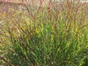 Galeriebild 1