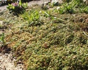 Galeriebild 1