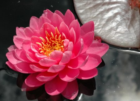 Galeriebild 1