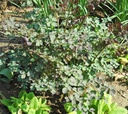 Galeriebild 1