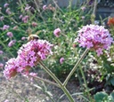 Galeriebild 1