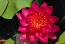 Galeriebild 1