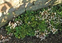 Galeriebild 1