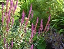Galeriebild 1