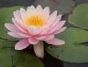 Galeriebild 1