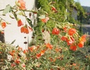 Galeriebild 3