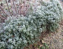 Galeriebild 1