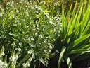 Galeriebild 1