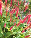 Galeriebild 1