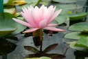 Galeriebild 1