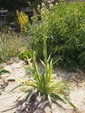 Galeriebild 1
