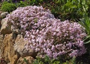 Galeriebild 1