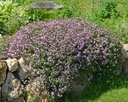 Galeriebild 1