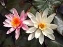 Galeriebild 1