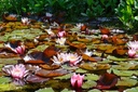 Galeriebild 2