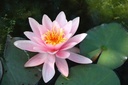 Galeriebild 3