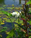 Galeriebild 1