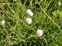 Galeriebild 1