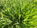 Galeriebild 2