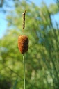 Galeriebild 1