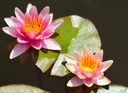Galeriebild 1