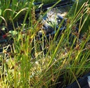 Galeriebild 2