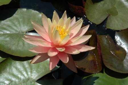 Galeriebild 1