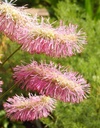 Galeriebild 1