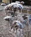 Galeriebild 1