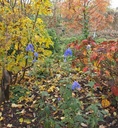 Galeriebild 2
