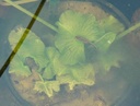 Galeriebild 1