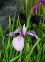 Galeriebild 1