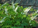 Galeriebild 1
