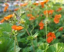 Galeriebild 1