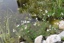 Galeriebild 1