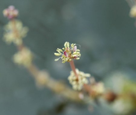 Galeriebild 3