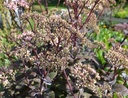 Galeriebild 2