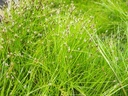 Galeriebild 1