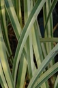 Galeriebild 1