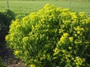 Galeriebild 1