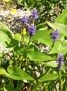 Galeriebild 2