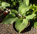 Galeriebild 2