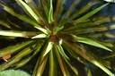 Galeriebild 1
