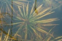 Galeriebild 3