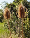 Galeriebild 1