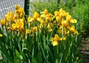 Galeriebild 1
