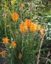 Galeriebild 1