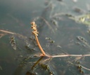 Galeriebild 2