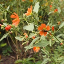 Galeriebild 1