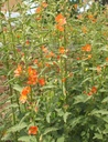 Galeriebild 2